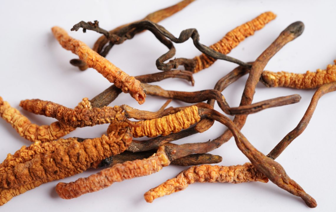 Keeda Jadi (Cordyceps Sinensis)